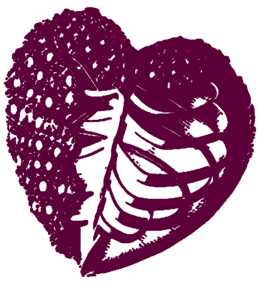 Ilustración original de hoja y corazón de Primera Musa
